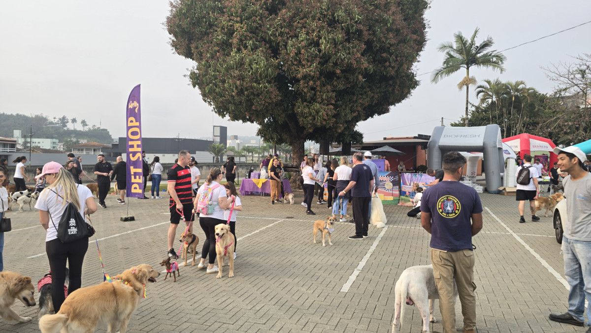 Veja como foi a 1ª edição da Cãominhada